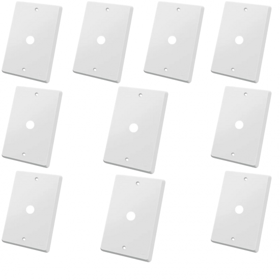 Kit 10 Placa Espelho 4x2 Com Furo