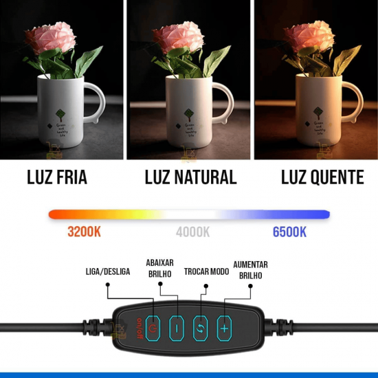 Ring Light de Mesa Blogueira Portátil Luminária De Led 6 Polegadas + Tripé De 16 Cm