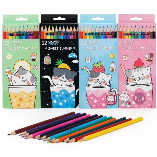 STA-13305 LAPIS DE COR 12 CORES REGISTRO: 011084/2025